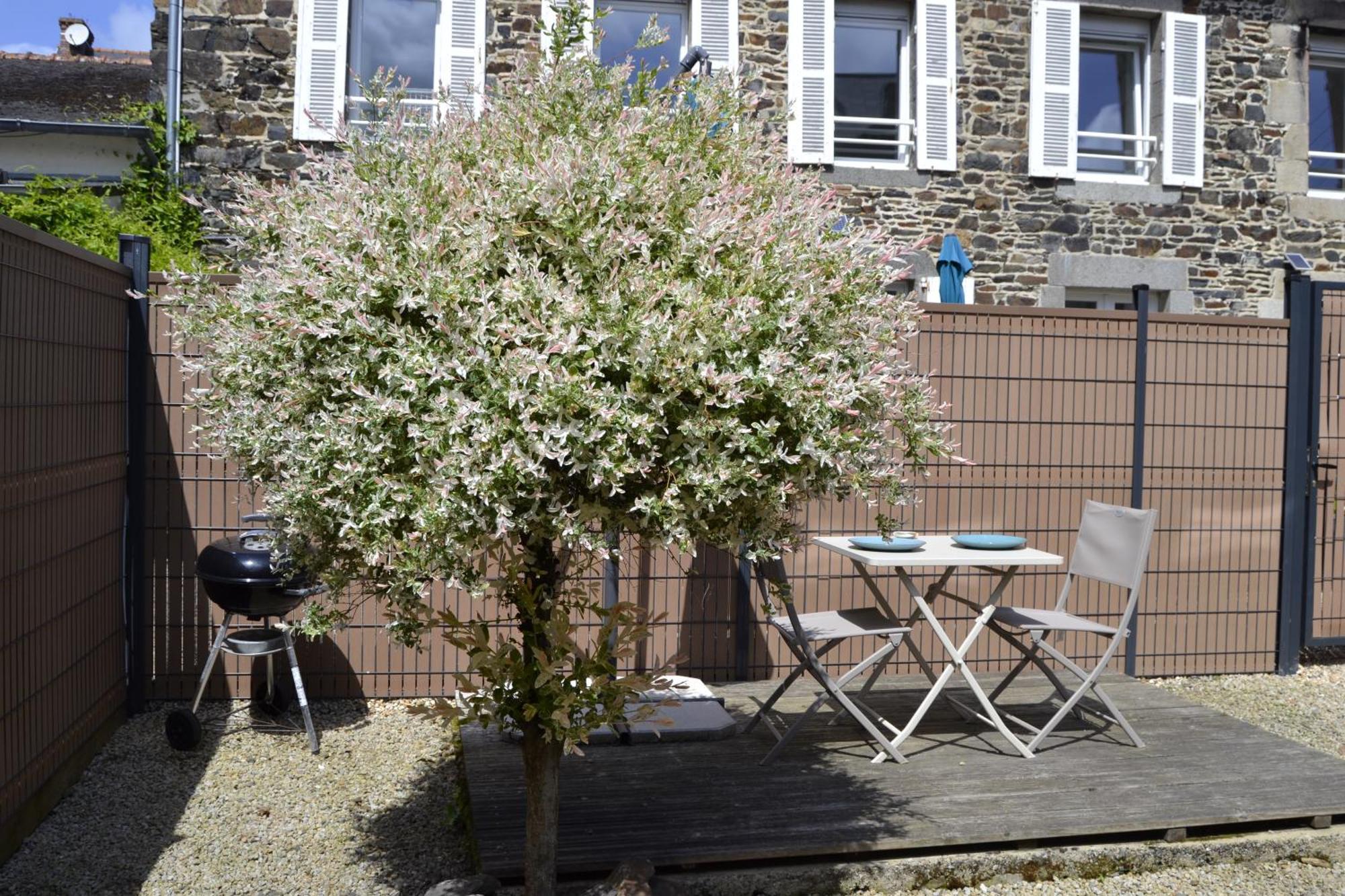Charmante Petite Maison Proche Du Port, Maison 7 Binic Exteriér fotografie
